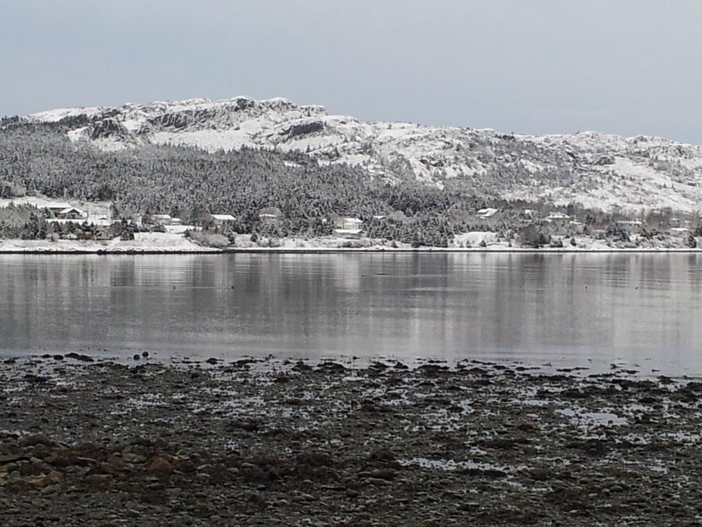 The Spaniards Room Heritage Home Spaniards Bay ภายนอก รูปภาพ