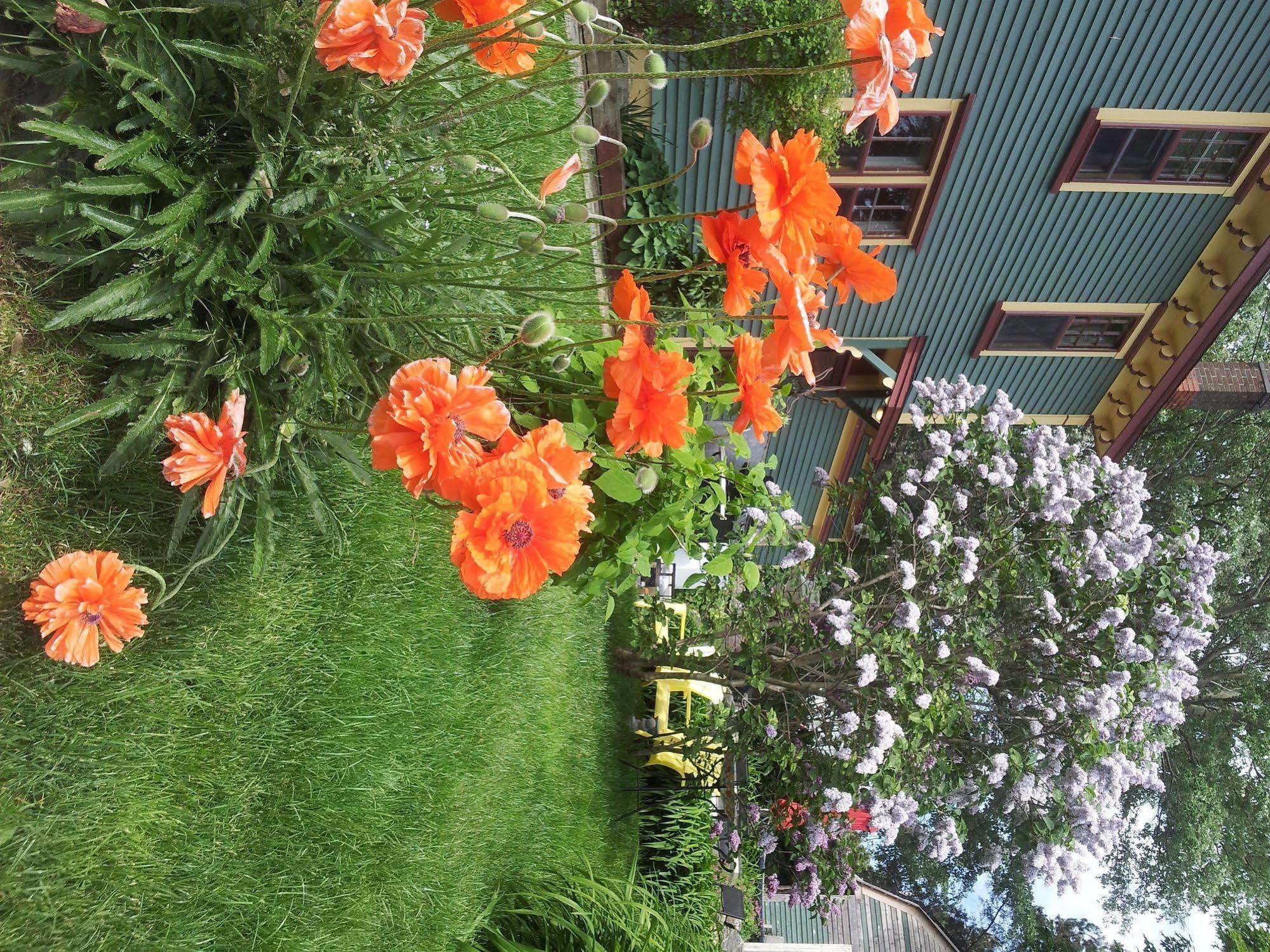 The Spaniards Room Heritage Home Spaniards Bay ภายนอก รูปภาพ