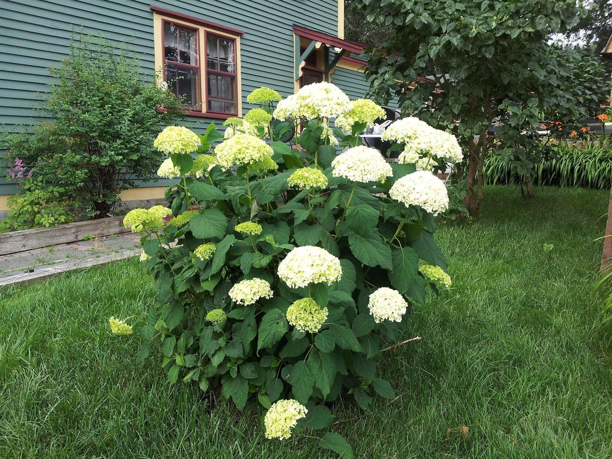 The Spaniards Room Heritage Home Spaniards Bay ภายนอก รูปภาพ